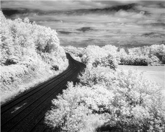 Impermanence: Low Res 2021 Participants - Gallery 44 Centre for Contemporary Photography