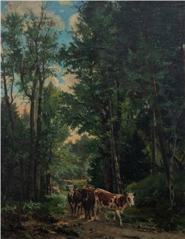 cows in a wooded area - R. Fedhner