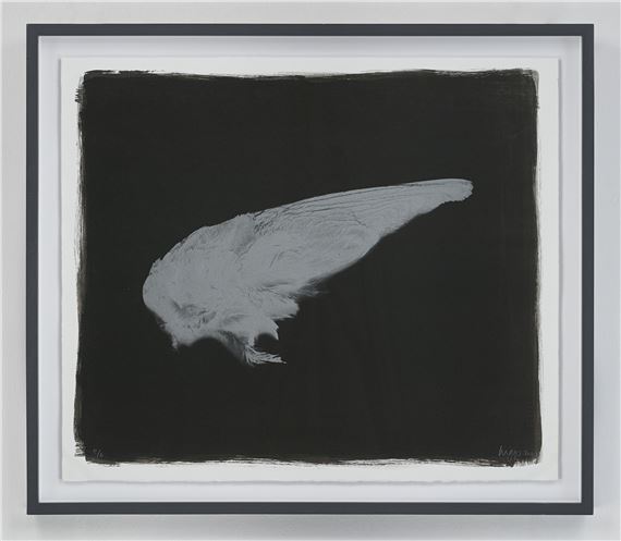 WING by Stephen Inggs