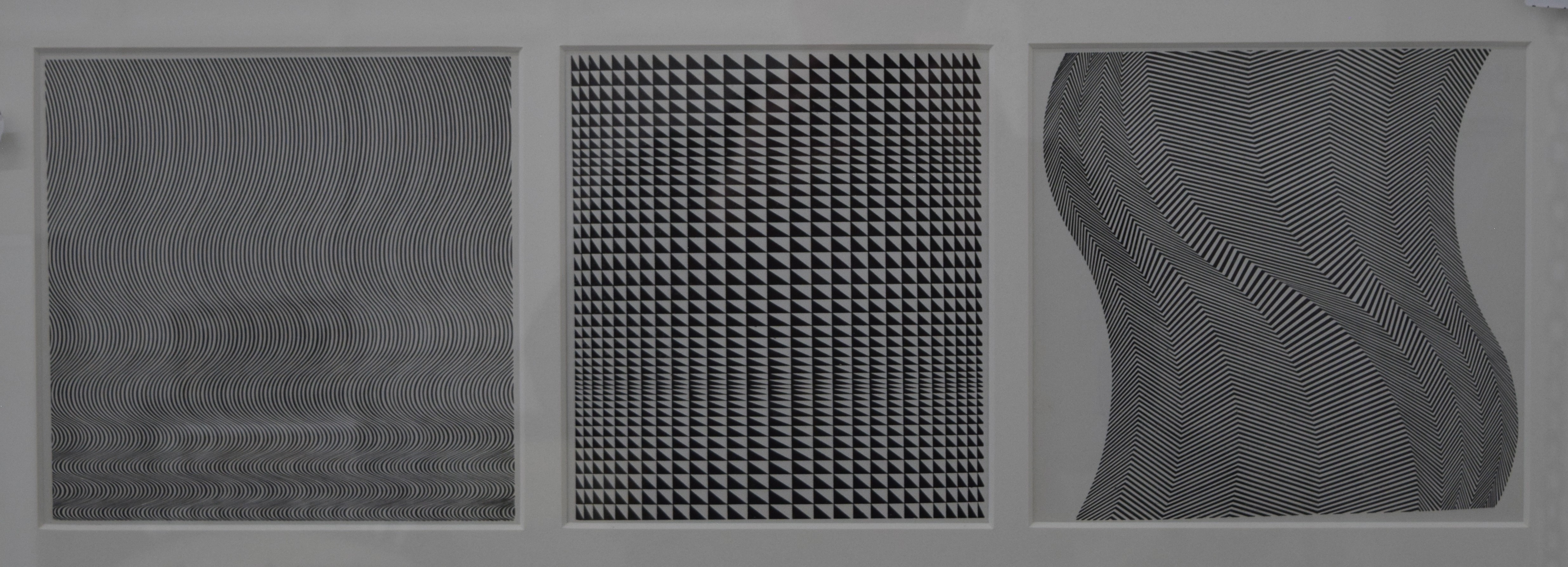 Bridget Riley Fall