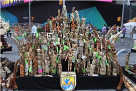 Antiquities Dealers Appeal Restrictive New York Ban on Ivory