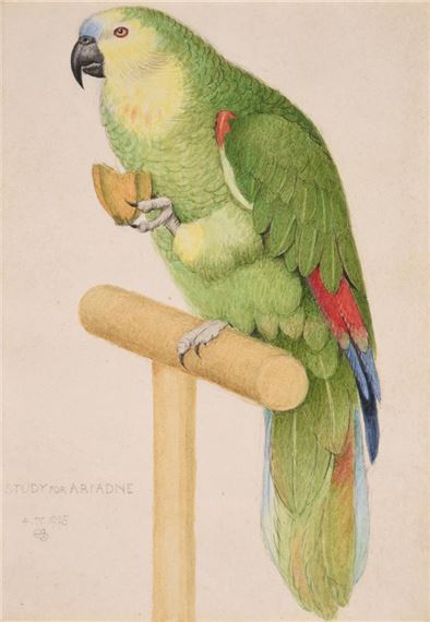 Study for "Ariadne" - Parrot by Joseph Edward Southall, 1925