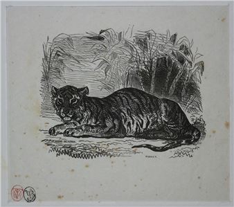 Reclining Tiger - Eugène Delacroix