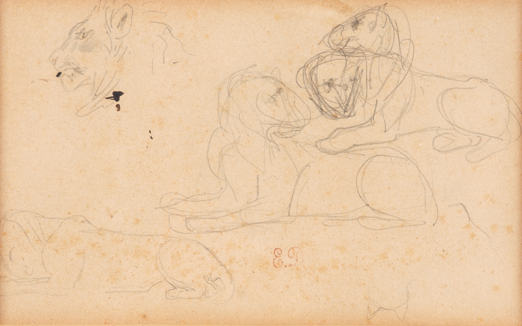 Löwen by Eugène Delacroix