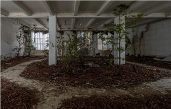 HEART Future: Rune Bosse - Herning Museum of Contemporary Art