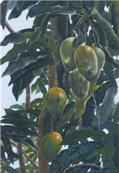 Mangga - Zaharuddin Sarbini