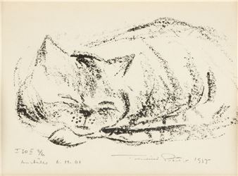 Aivan tavallinen kissa (An ordinary cat) - Tuulikki Pietilä