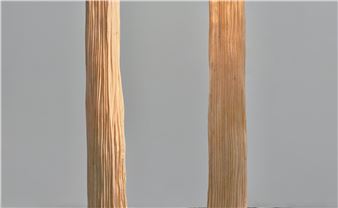 Mia Westerlund Roosen: Aftermath - Betty Cuningham Gallery