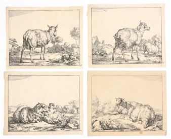 Schapen en bokken Picture