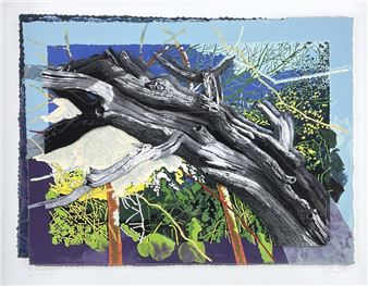 Branches and vegetation against a blue sky - Ian Jacob