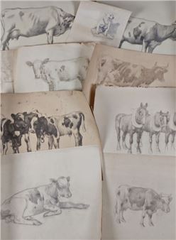 Sketches, mostly cattle - David Gould