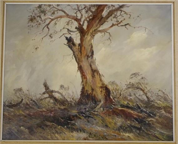 Terry Gleeson | 'Hilltop Remnant' | MutualArt