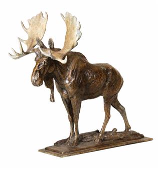 A Big Bull Moose - Rod Zullo