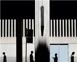 Curating Reality