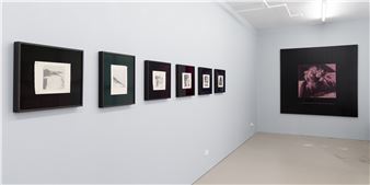Hamish Coleman: Side Gallery - Bartley + Company Art
