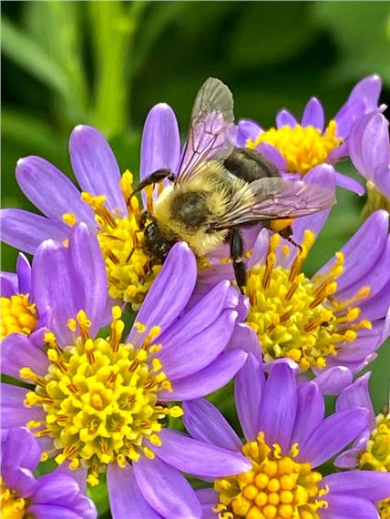 ONLINE: Volunteers of Guild Hall 2022 - Guild Hall Museum