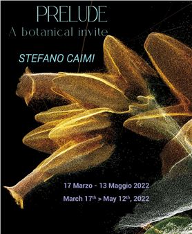 Stefano Caimi: Preludio - The Flat - Massimo Carasi 