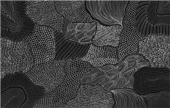 Freda Price Pitjara | My Country | MutualArt
