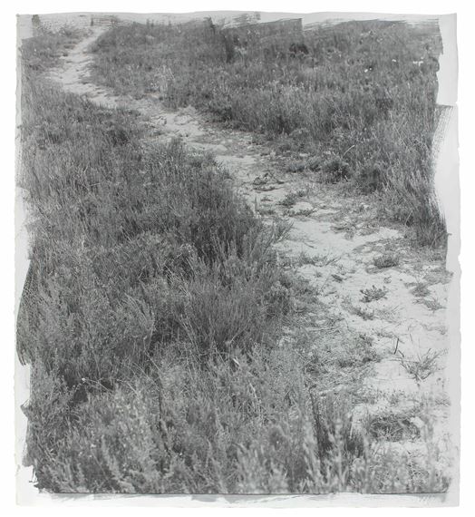 Footpath by Stephen Inggs