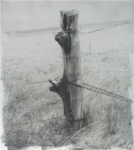 Fencepost by Stephen Inggs