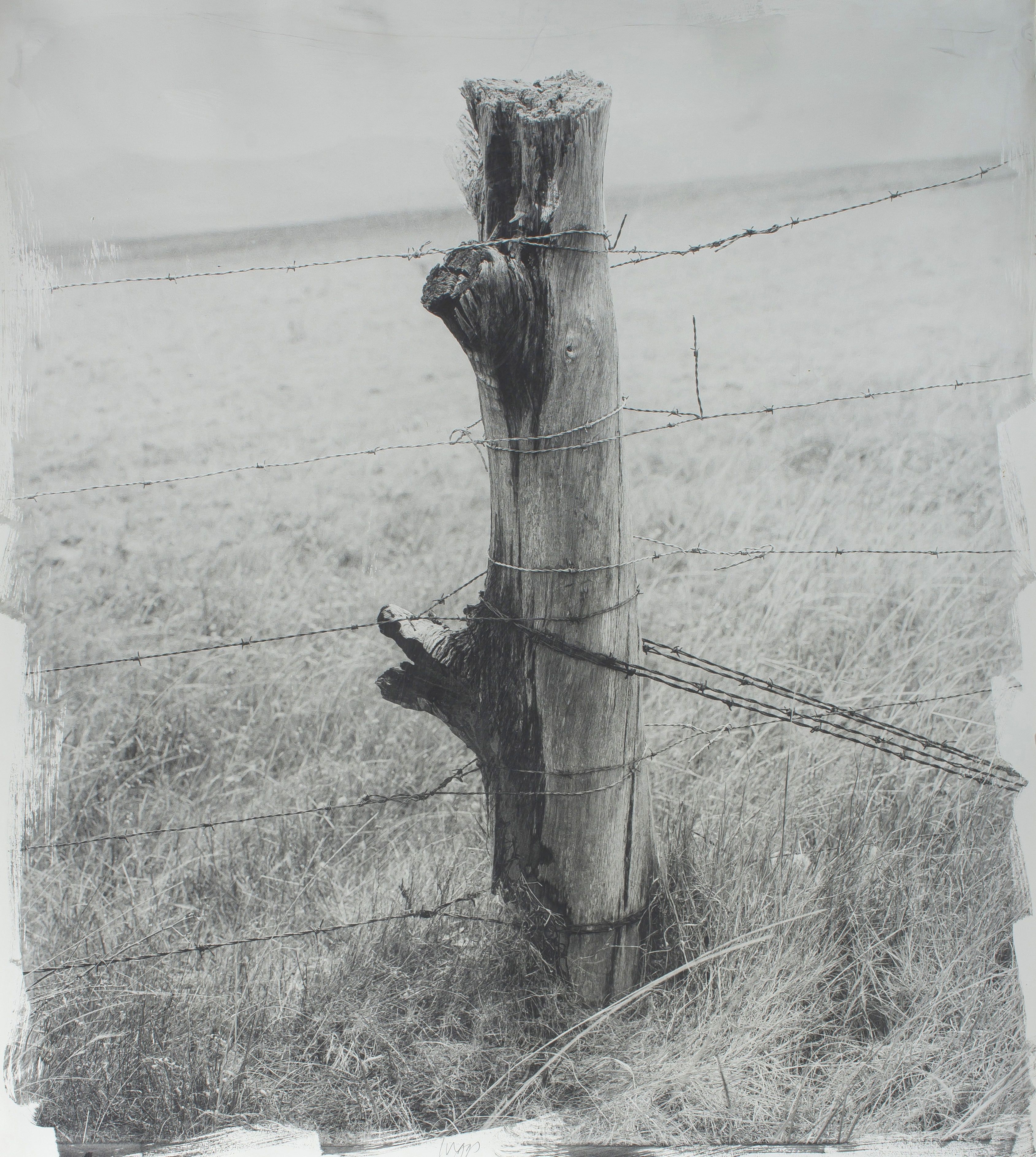 Artwork by Stephen Inggs, Fencepost, Made of hand painted silver gelatin