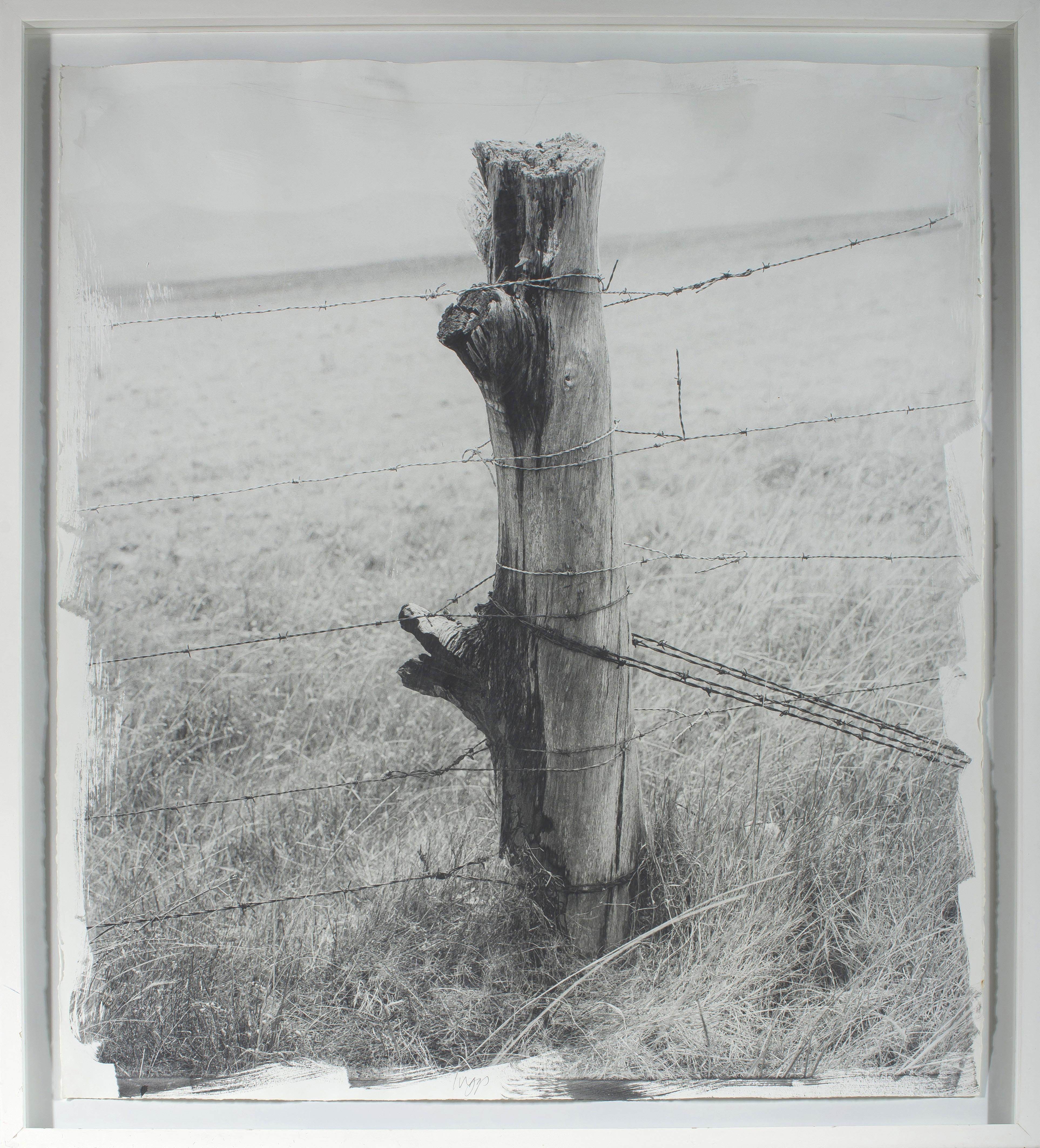Artwork by Stephen Inggs, Fencepost, Made of hand painted silver gelatin