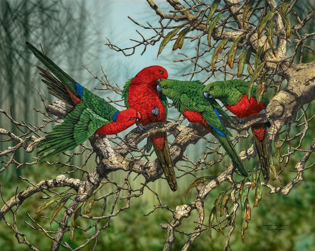 Paul Margocsy | Australian King Parrots | MutualArt