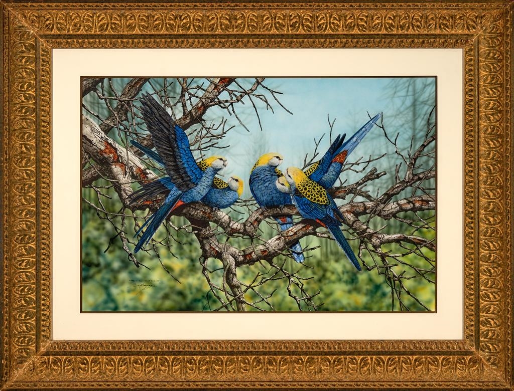 Paul Margocsy | Australian Pale Headed Rosellas | MutualArt