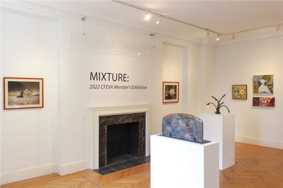 Mixture: CFEVA 2022 Member’s Exhibition - CFEVA, The Center for Emerging Visual Artists