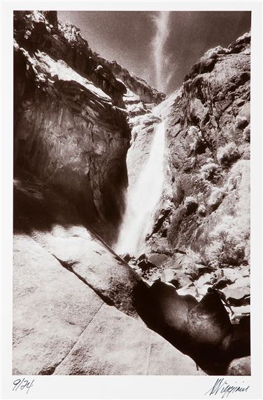 Trickle Down H2O by Anthony Viggiani