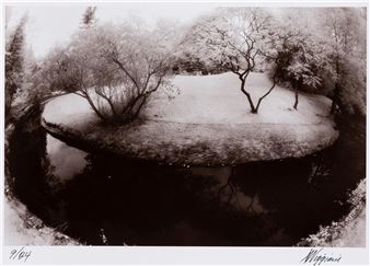 Island Of Trees - Anthony Viggiani