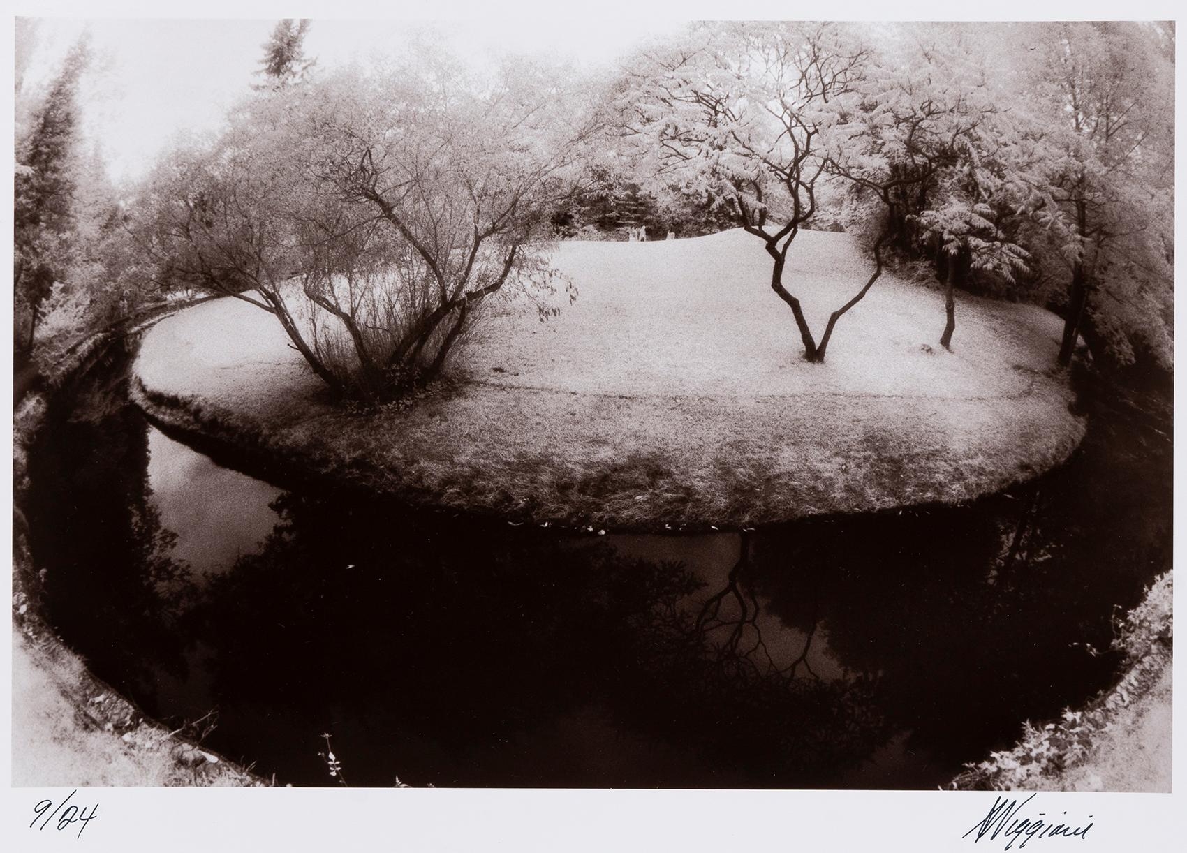 Artwork by Anthony Viggiani, Island Of Trees, Made of original gelatin silver print