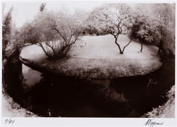 Island Of Trees - Anthony Viggiani