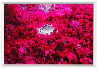A surreal aerial view of a dense forest rendered in vivid magenta, featuring a solitary thatched-roof hut at its center.