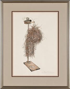 Nest of Red-Headed Weaver - Anne Ginsburg