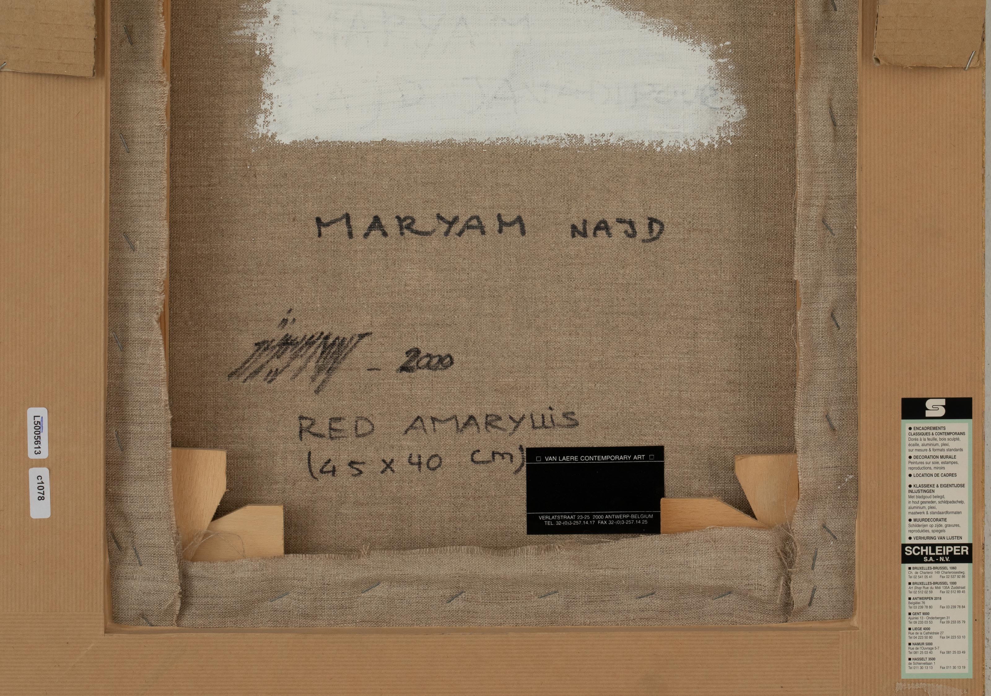 Artwork by Maryam Najd, 'Red Amaryllis', 2000
Canvas, Made of Canvas