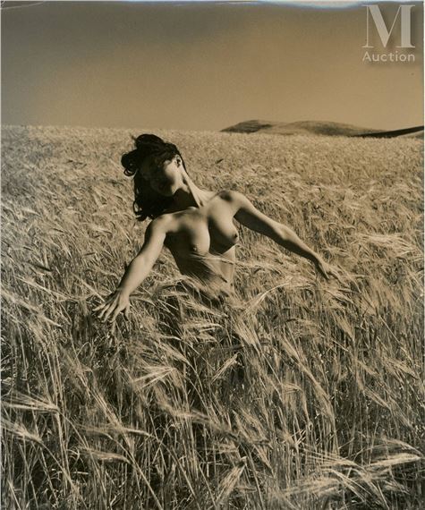 Nu dans les champs by Andre de Dienes, 1953