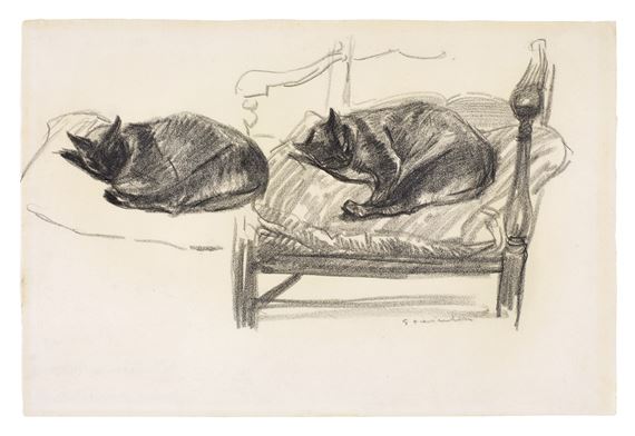 Housse De Coussin Ancienne Broderie - Panneau Chat - XIXe - Textile Tapisserie