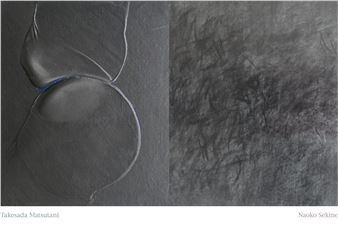 Takesada Matsutani & Naoko Sekine: Two Transformations - MA2 Gallery