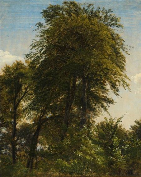A study of tree tops by Peter Christian Thamsen Skovgaard, dated 1867