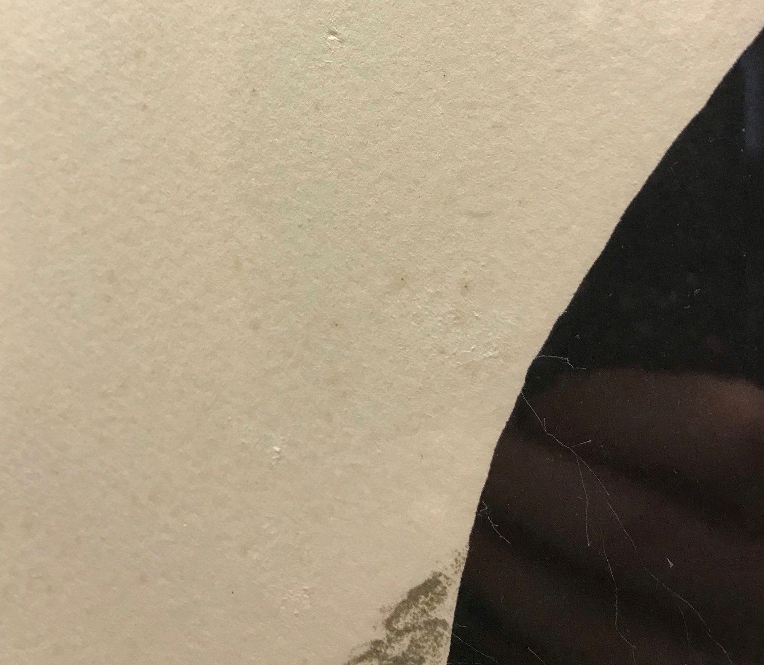 Artwork by Sonia Delaunay, Losange, Made of lithograph in colours