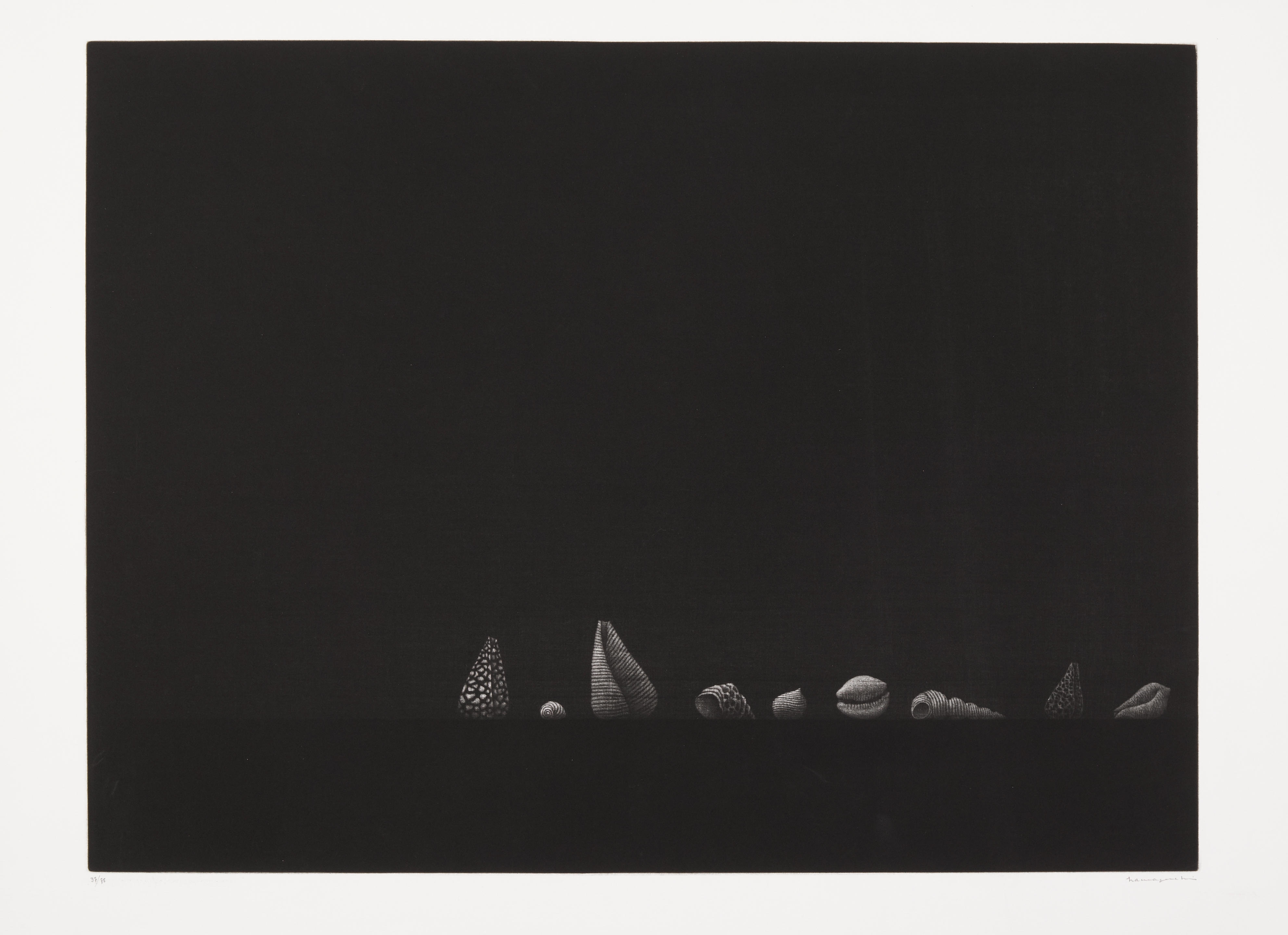 Yozo Hamaguchi | Nine shells (1980) | MutualArt