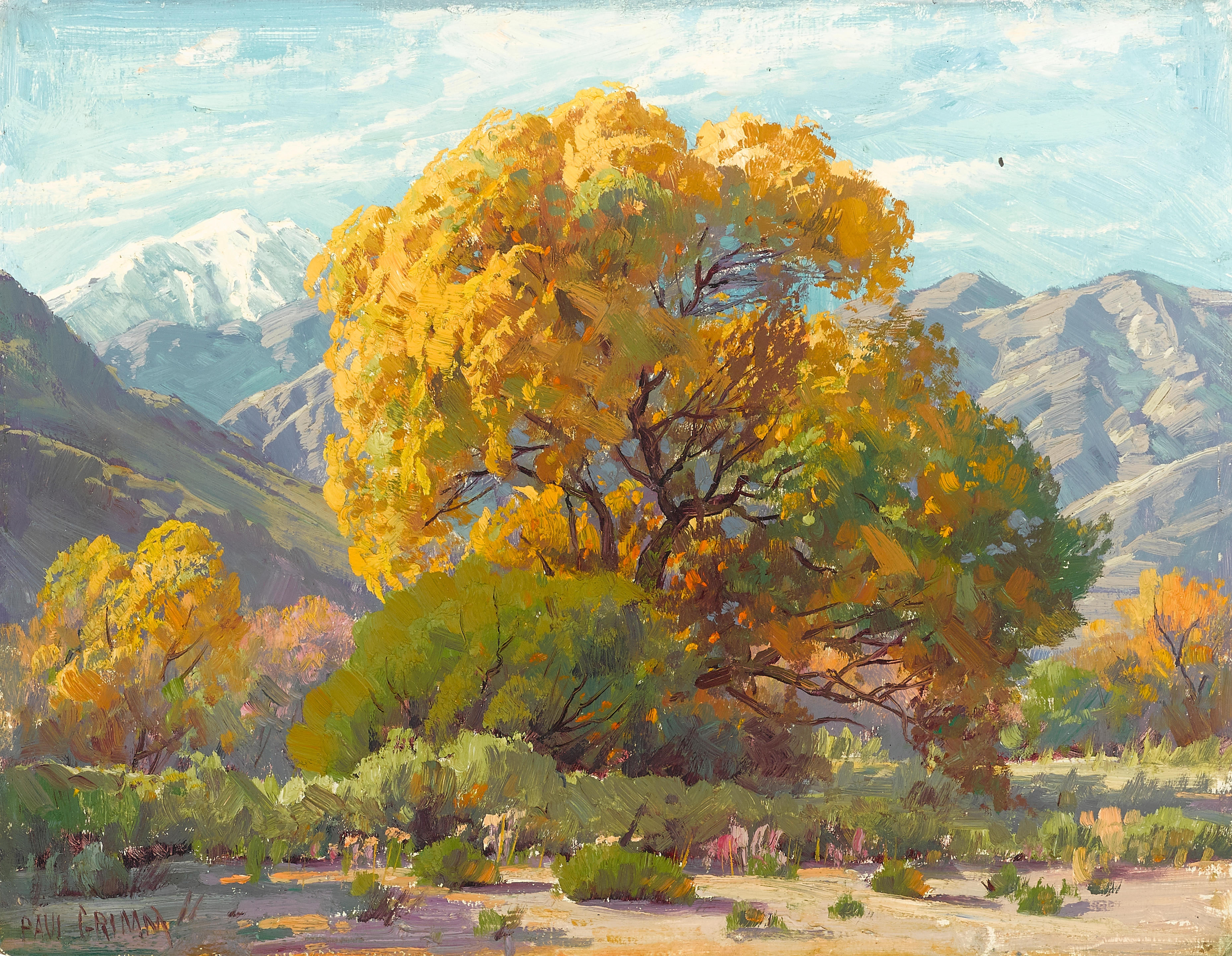 Artwork by Paul Grimm, Desert Tree and Desert landscape (a group of two), Made of each oil on board
