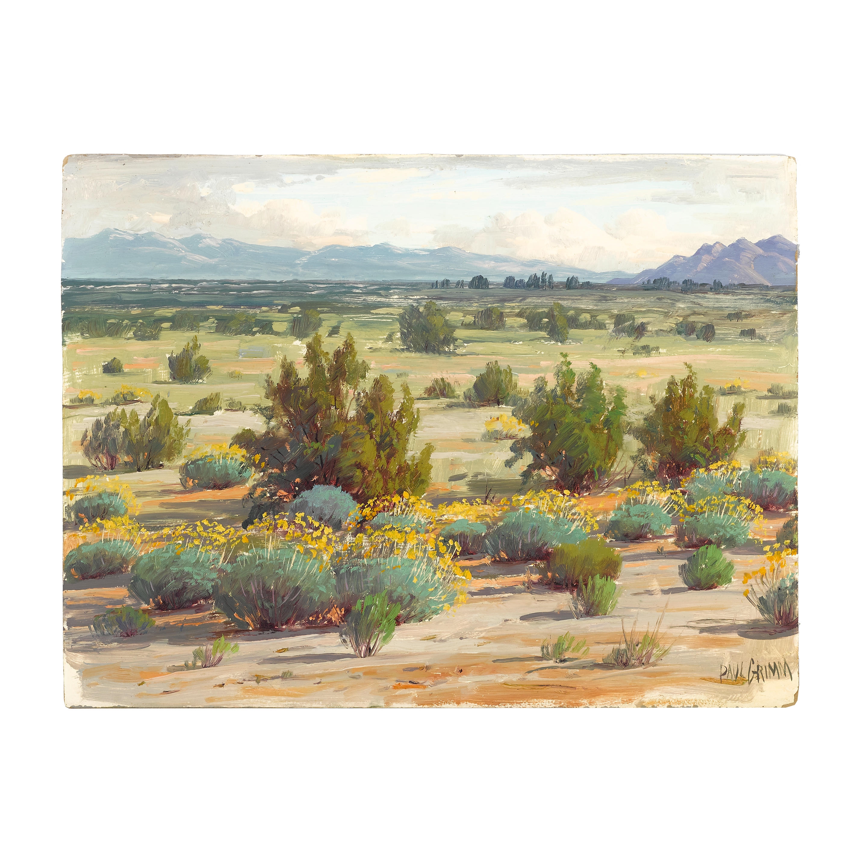 Artwork by Paul Grimm, Desert Tree and Desert landscape (a group of two), Made of each oil on board