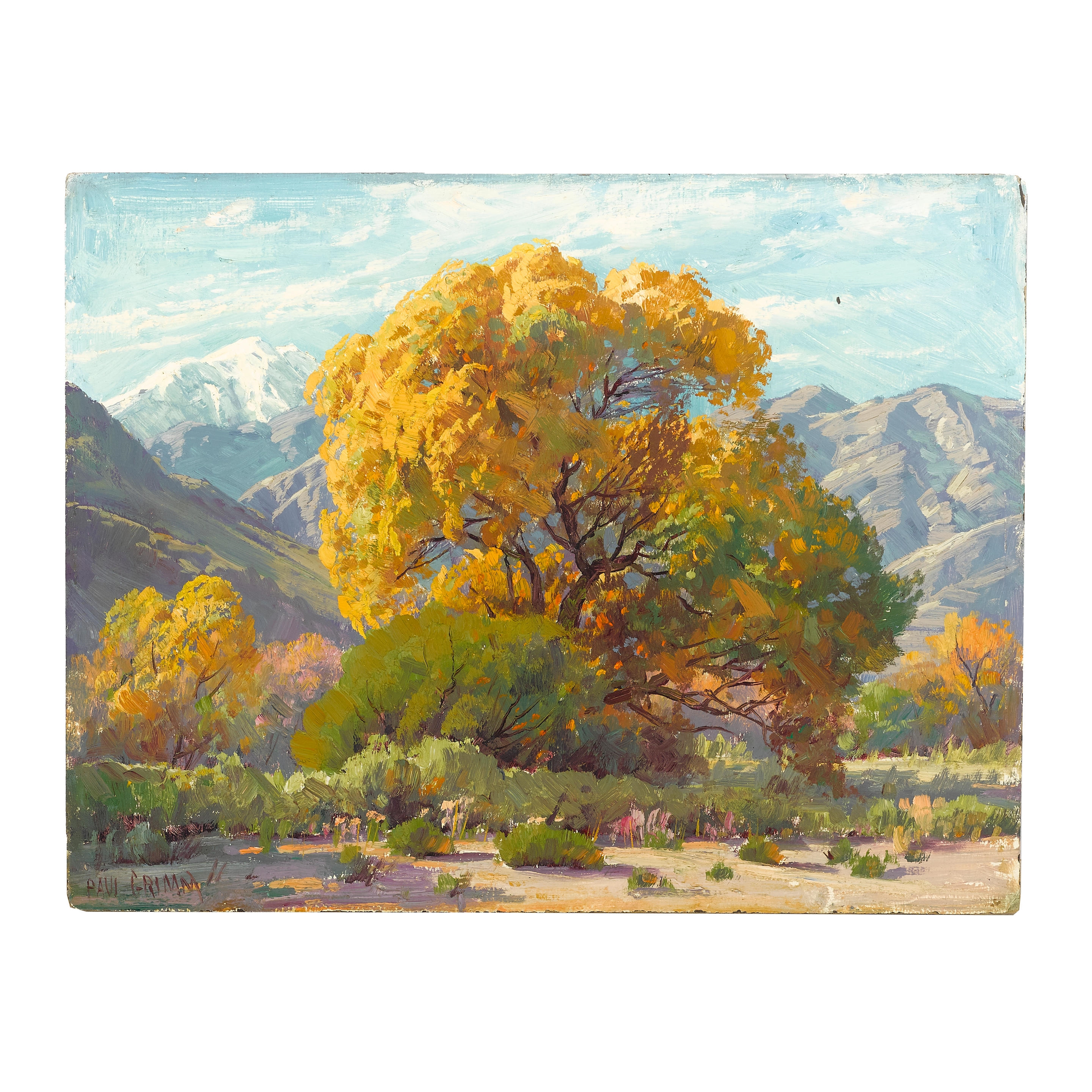 Artwork by Paul Grimm, Desert Tree and Desert landscape (a group of two), Made of each oil on board