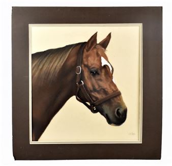 study of the famous racehorse - Harry Nance