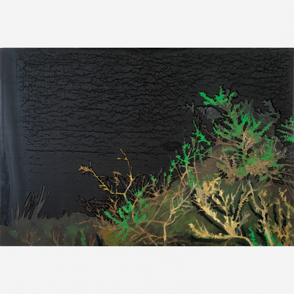 Artwork by Rodrigo Andrade, MATO E PEDRAS COM MUSGO., Made of OIL ON CANVAS GLUED ON WOOD