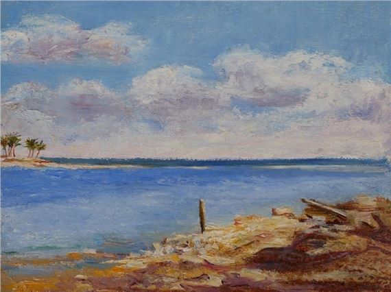 Landscape by Coconut Grove by Eloise Mcwilliams