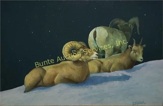 Rams lying in snow by Ron Allen Cheek