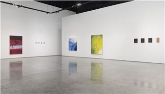Vikram Divecha: El Dorado - Gallery Isabelle van den Eynde
